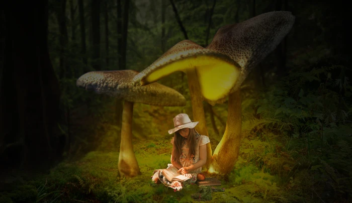 book fantasy girl composing fairytale dream mood photomontage 2k 4k 5k