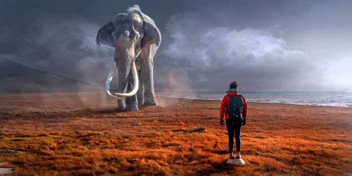 composing man elephant landscape fantasy mystical 2k 4k 5k