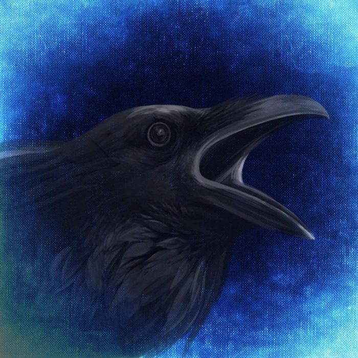 crow head painting raven night creepy darkness mystical 2k