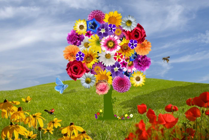 flowers purple flower summer spring blossom 2k 4k
