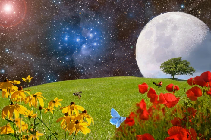 red and yellow flowers in green grass field illustration meadow 2k 4k