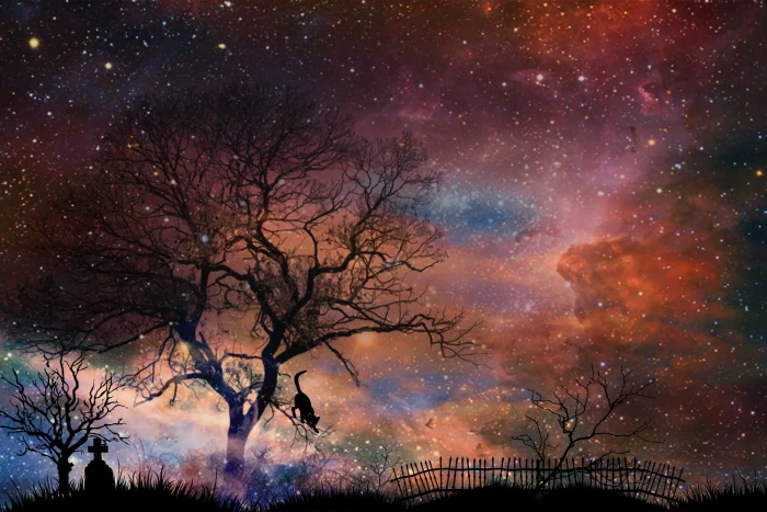 starry night with graveyard silhouette tombstone cemetery trees 2k