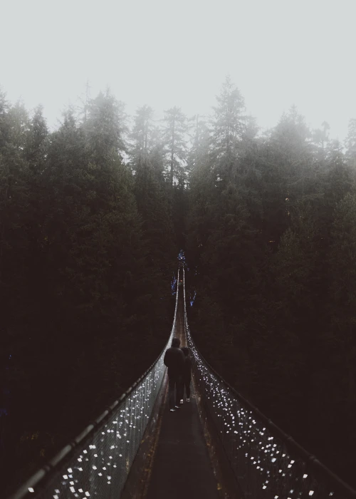 tree person people couple mist misty fog foggy string light 2k 4k