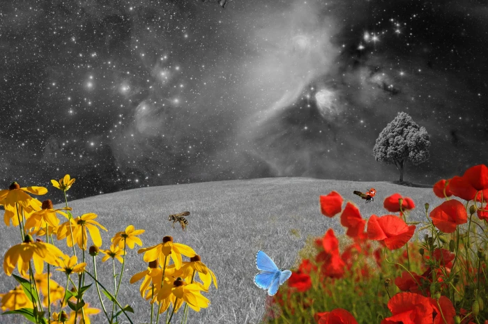 two assorted color petaled flowers near tree digital wallpaper 2k 4k
