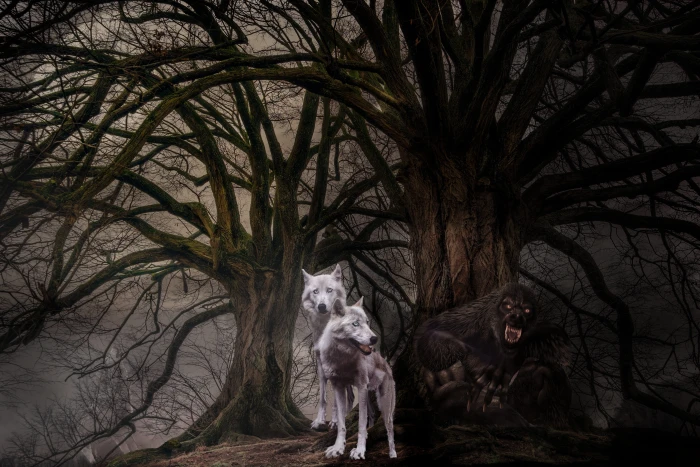 wolves wolf fantasy photo montage mysterious mysticism 2k 4k 5k