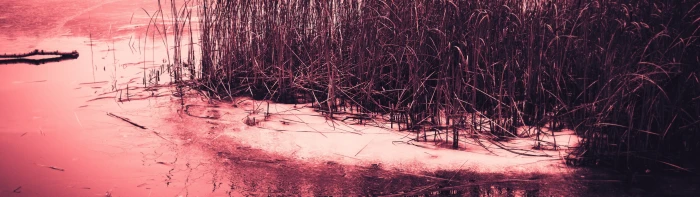 px Dual Monitors Multiple Display Technology Linux HD Art widescreen dualmonitor dualscreen 2k 4k