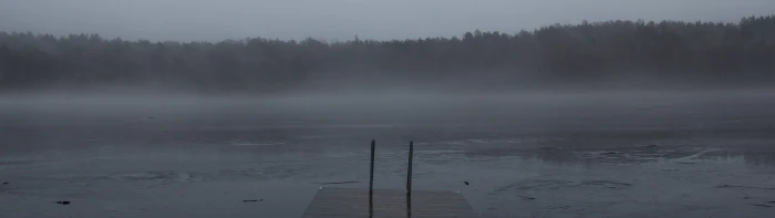 dual monitors multiple display fog water tranquility tree widescreen dualmonitor dualscreen 2k 4k