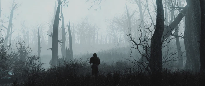 Dual Monitors video games tree plant forest fog widescreen dualmonitor dualscreen 2k 4k 5k