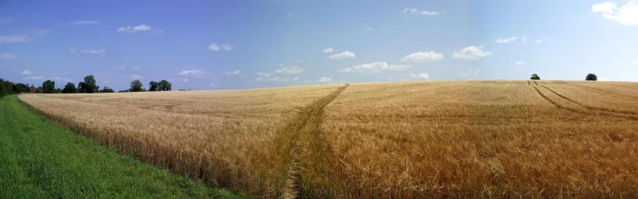 dual screen for desktop background agriculture land landscape widescreen dualmonitor dualscreen 2k