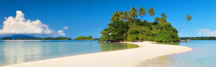 dual screen backgrounds water tree sky plant tropical climate widescreen dualmonitor dualscreen 2k