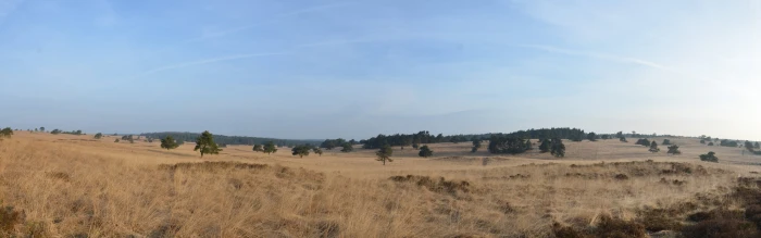 landscape nature valley trees horizon multiple display widescreen dualmonitor dualscreen 2k 4k