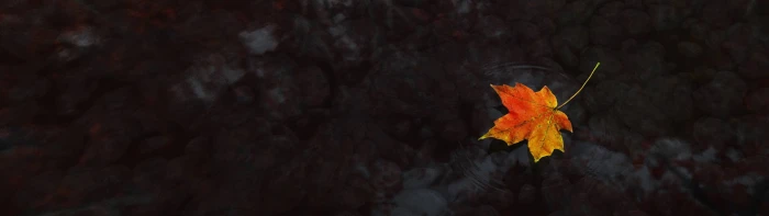 red maple leaf wallpaper dual monitors multiple display water widescreen dualmonitor dualscreen 2k 4k