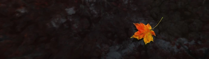 water multiple display maple leaves dual monitors nature widescreen dualmonitor dualscreen 2k 4k