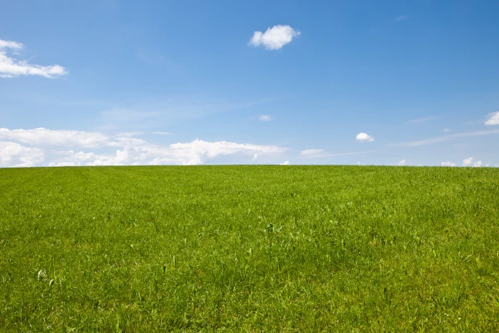 green grass field with stratus clouds wiese blue 2k 4k 5k