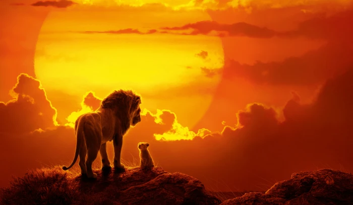 Movie The Lion King Baby Animal Mufasa 2k 4k 5k 8k