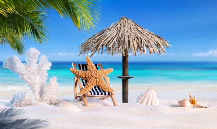 sand sea beach summer star vacation shell palms tropical 2k 4k 5k 8k