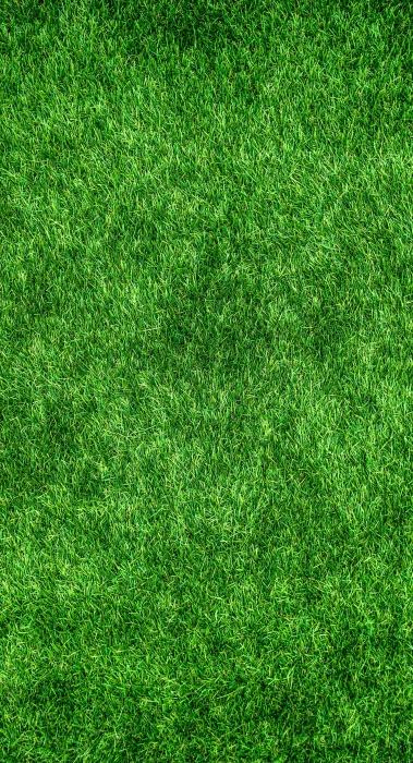 green grass nature abstract plants herb artificial turf 2k