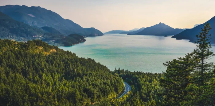 green trees bodies of water with mountain view and forest in aerial photography 2k 4k 5k 8k