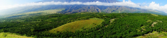 Hawaii Maui tropical forest tropics palm trees beach mountain 2k 4k 5k 8k