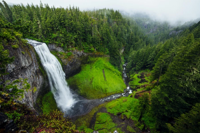 timelapse photography of waterfalls near trees during daytime 2k 4k 5k