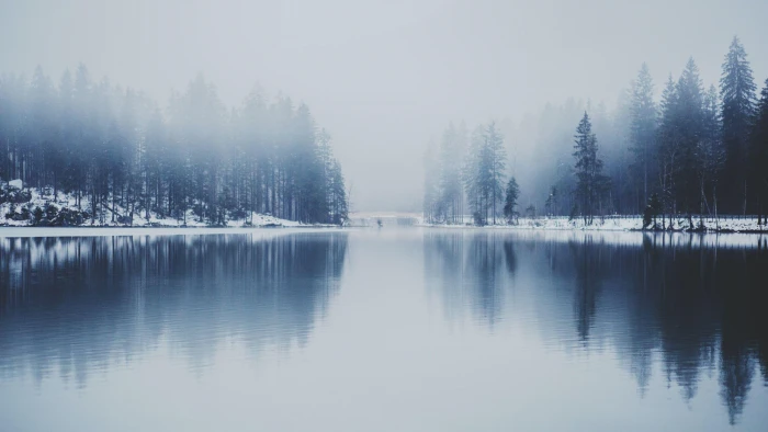 Cold Lake fog snow morning dew nature 2k