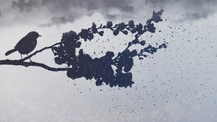 Art. Bird on a rainy evening 2k