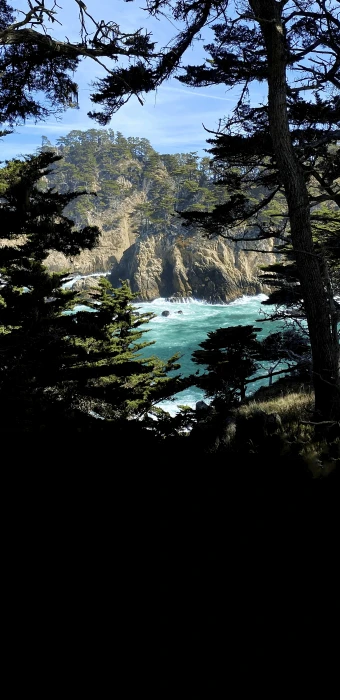Point Lobos State Park Carmel CA amoled background wallpaper 2k
