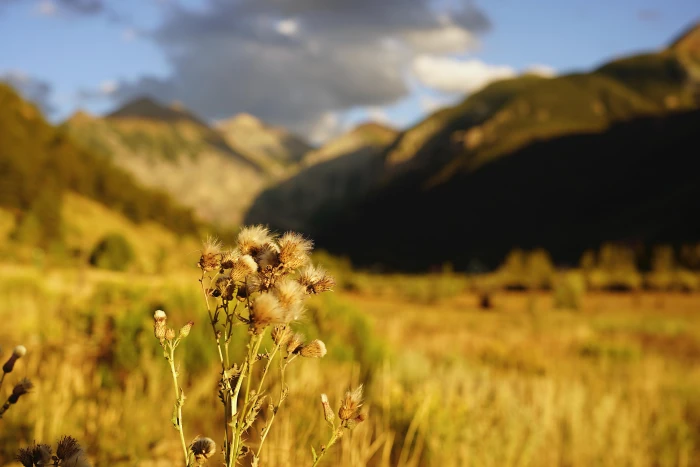 Telluride Colorado September Sunset 2k 4k 5k