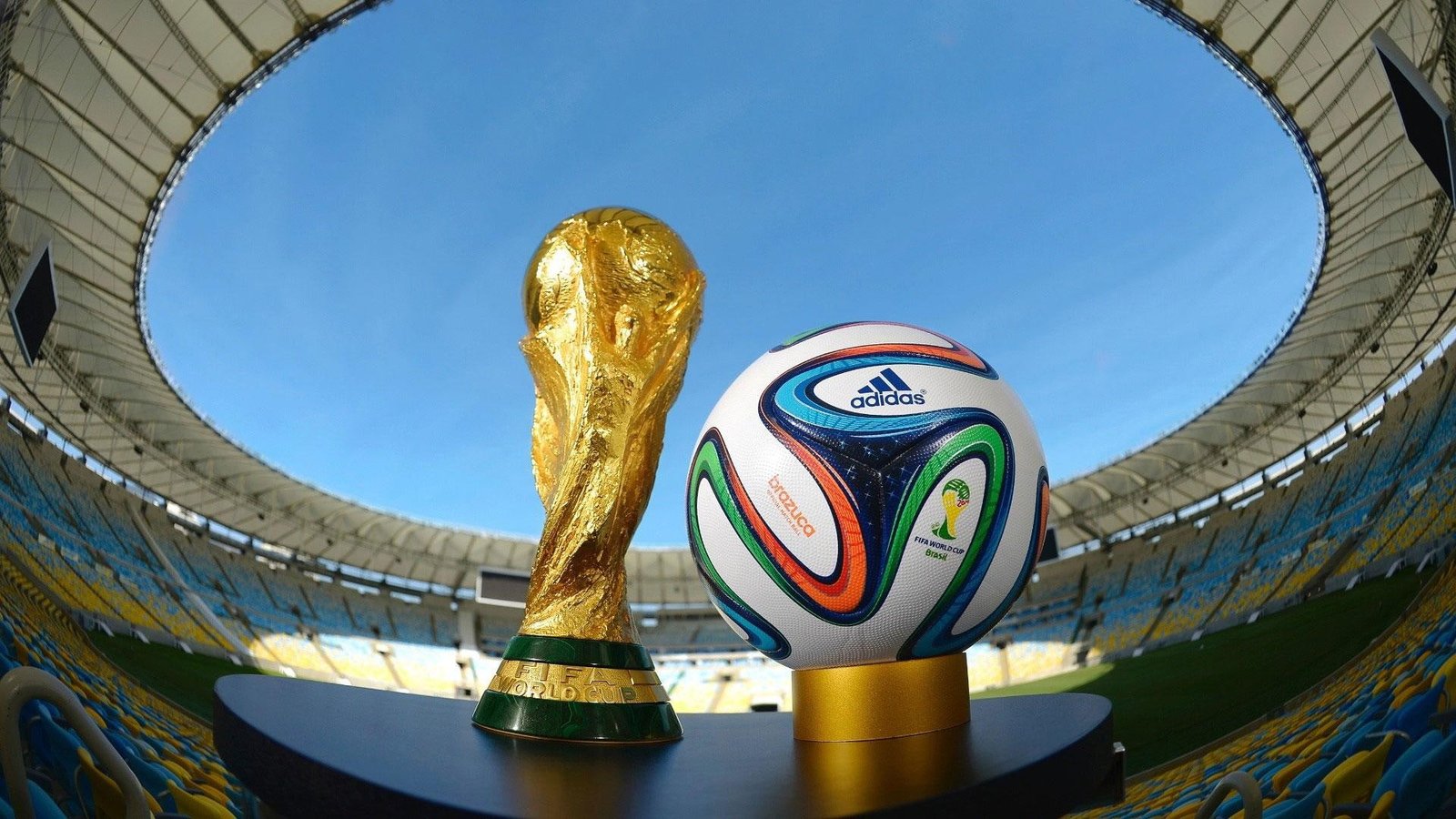FIFA World Cup Brazil