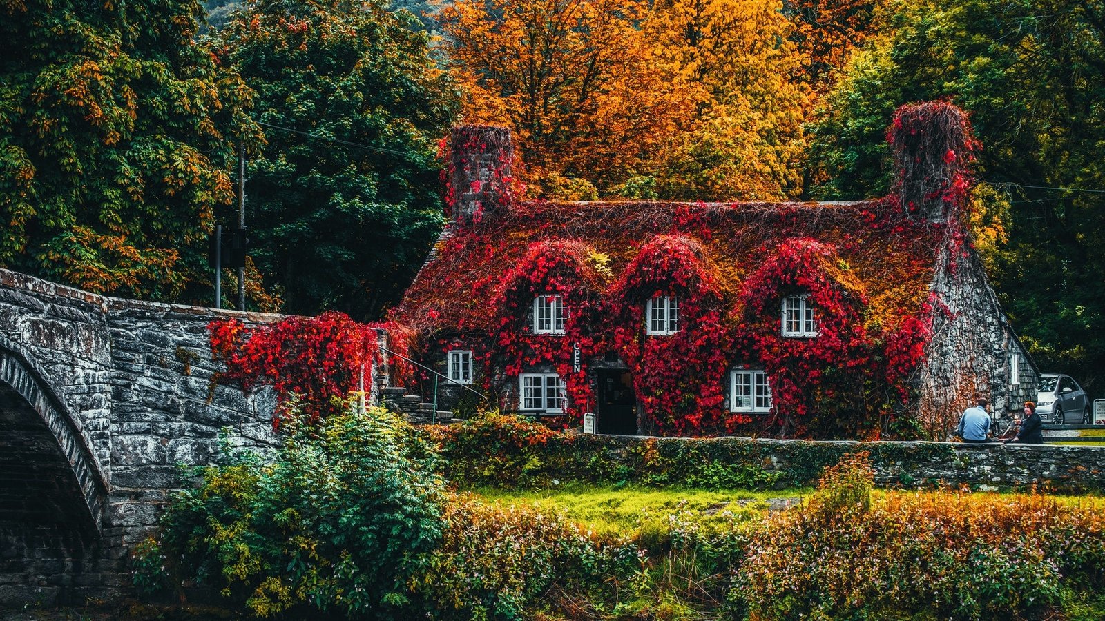 Fall colors in UK countryside