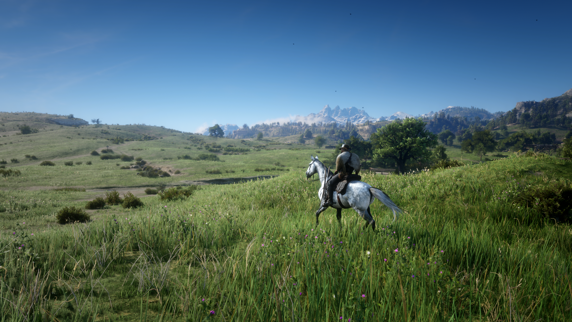 Red Dead Redemption II