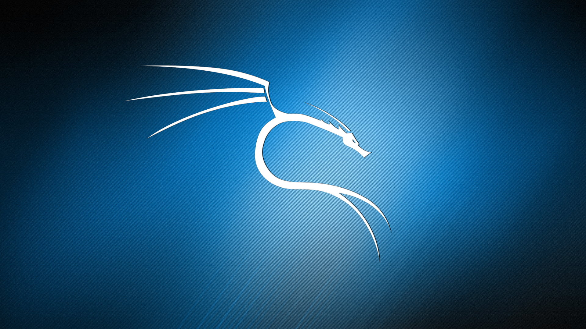 Kali Linux texture dragon abstract blue background