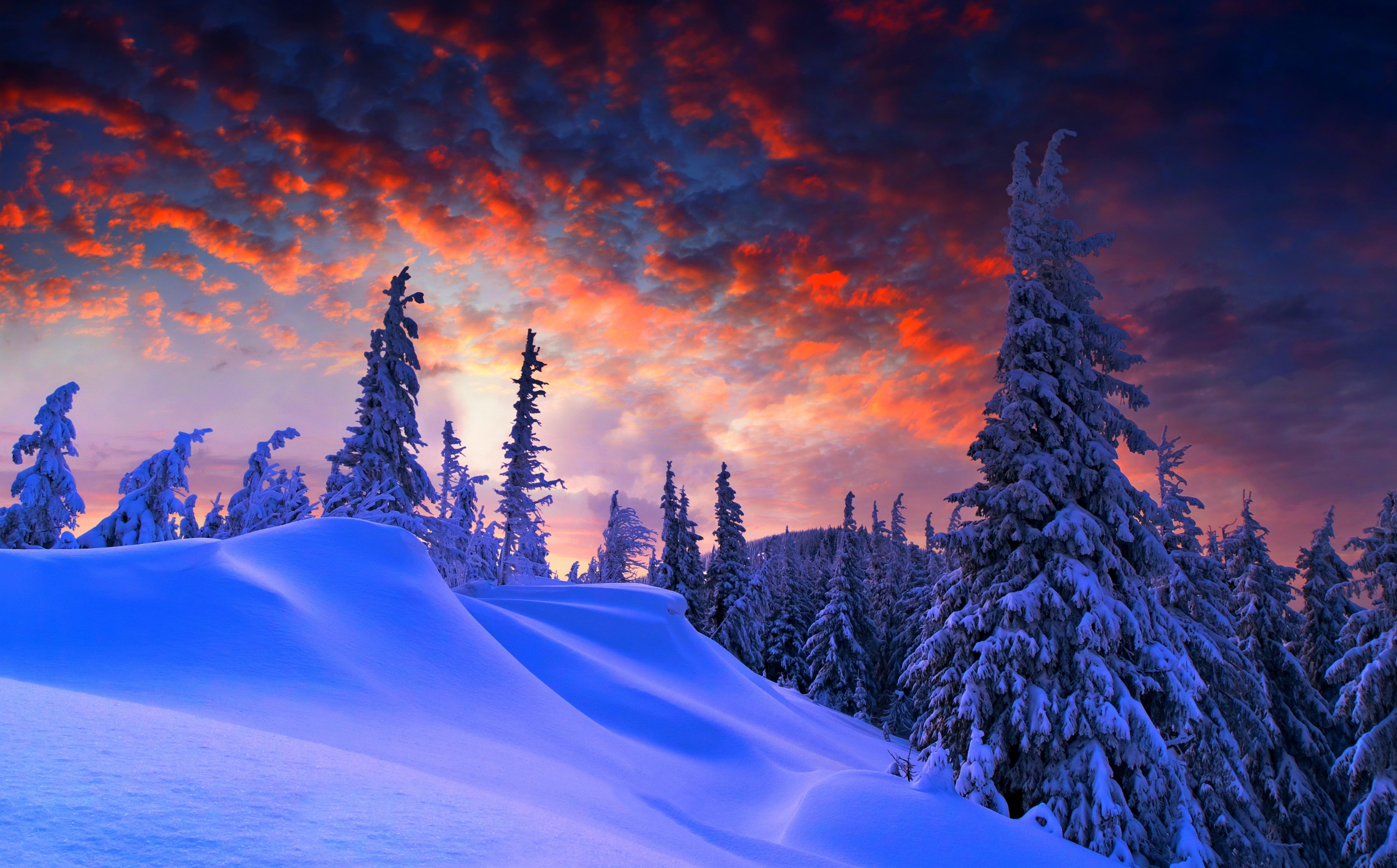 Winter Christmas mountain with snow and forest digital wallpaper 84 2k 4k 5k