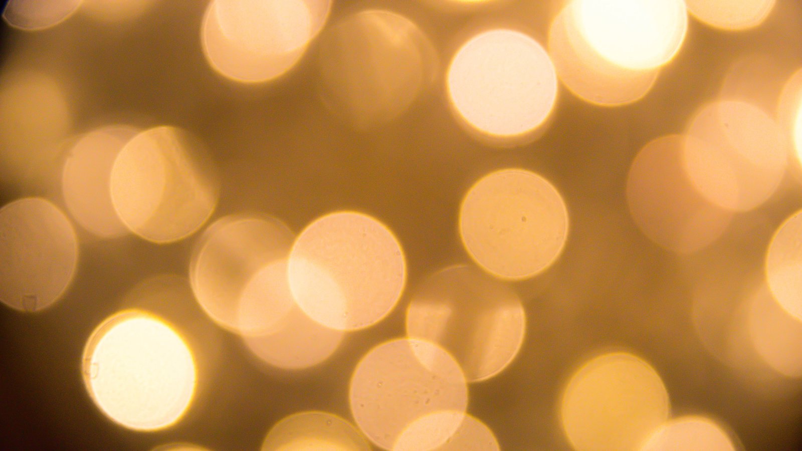 photography of bookeh light Pure bokeh golden defocused backgrounds 2k 4k 5k