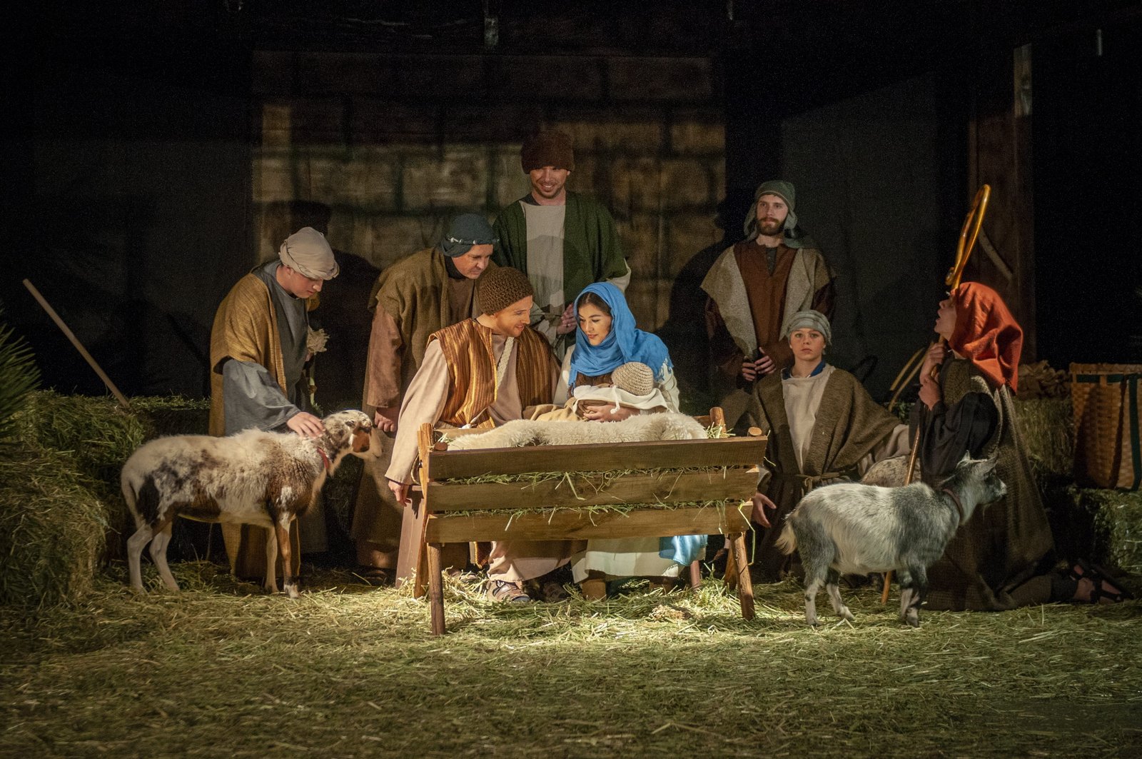 living nativity creche christmas baby jesus mammal men 2k 4k