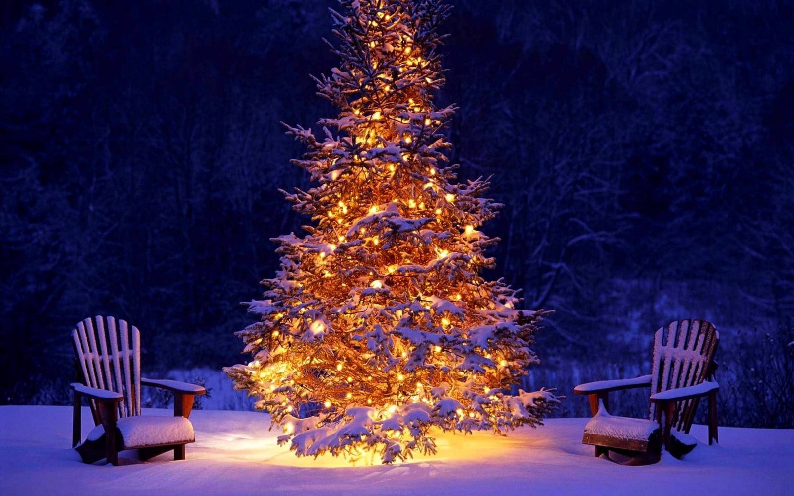 Christmas tree illustration new year decoration chairs snow