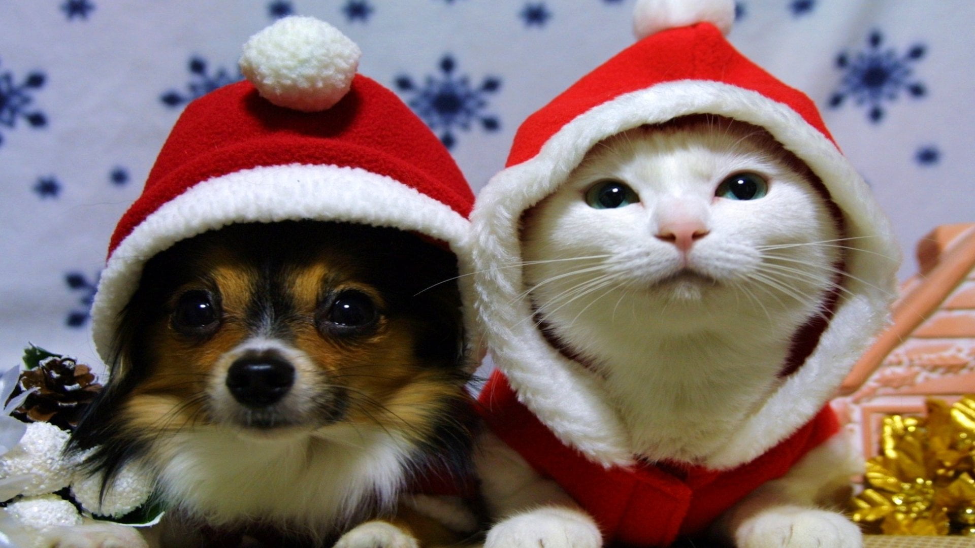Holiday Christmas Cat Dog Santa Hat animal themes pets