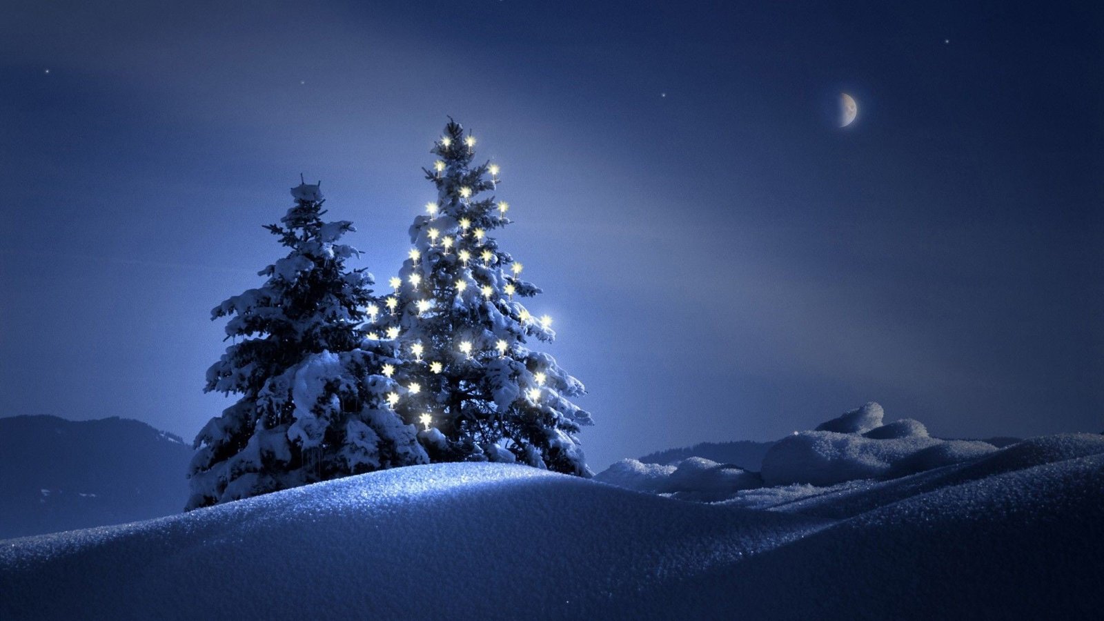 rule of third painting lighted Christmas tree snow night
