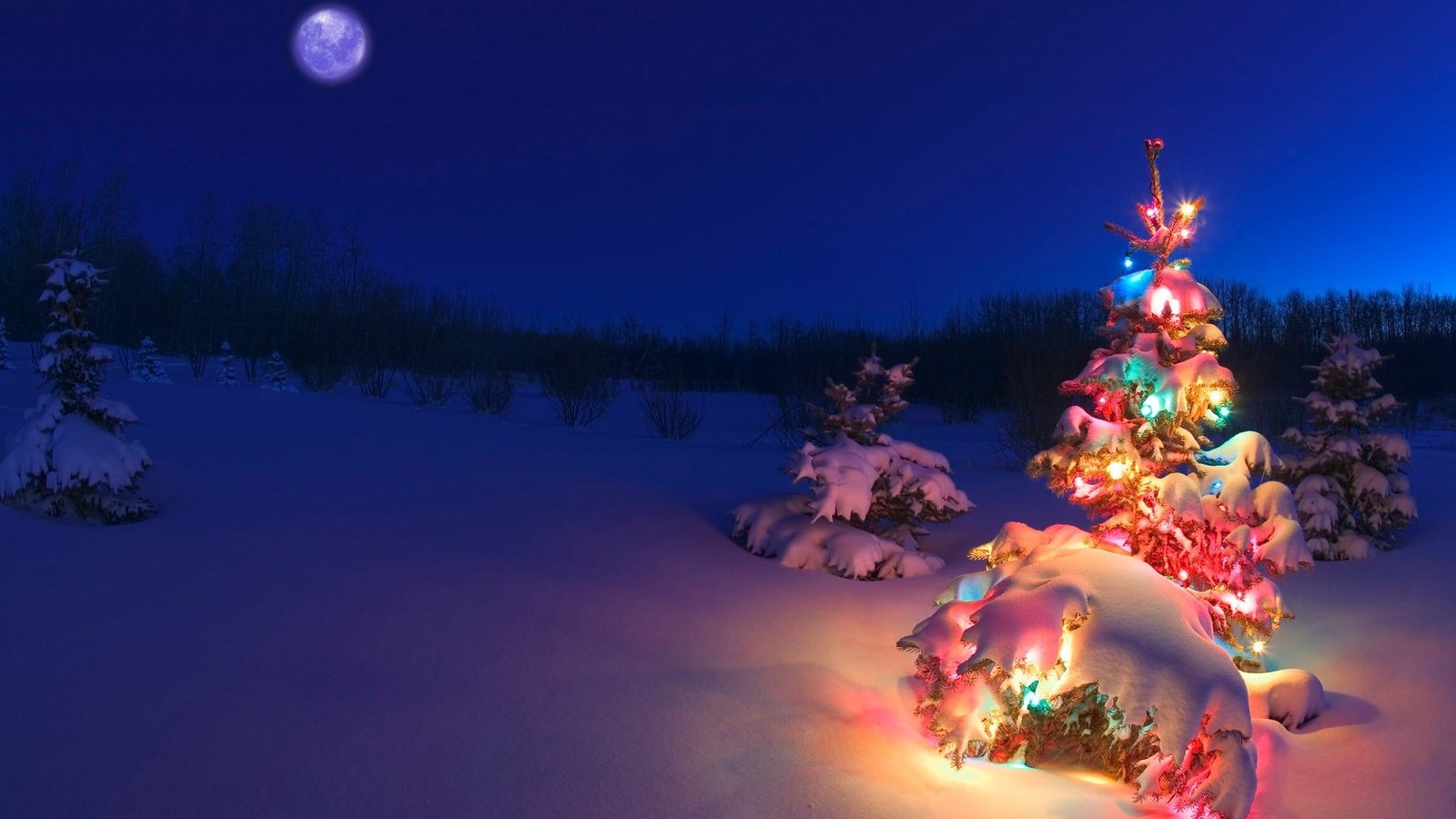 Christmas wallpaper Tree snow christmas lights illuminated