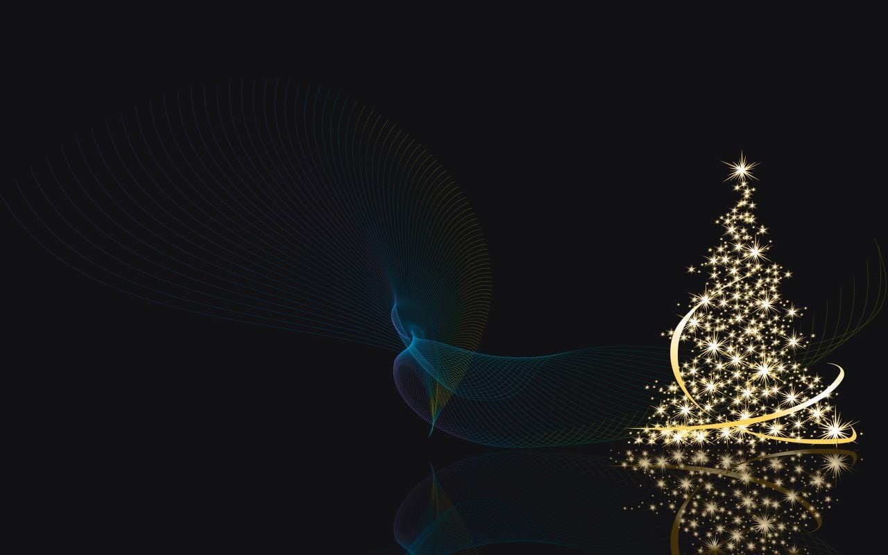 Christmas tree decor illuminated studio shot black background