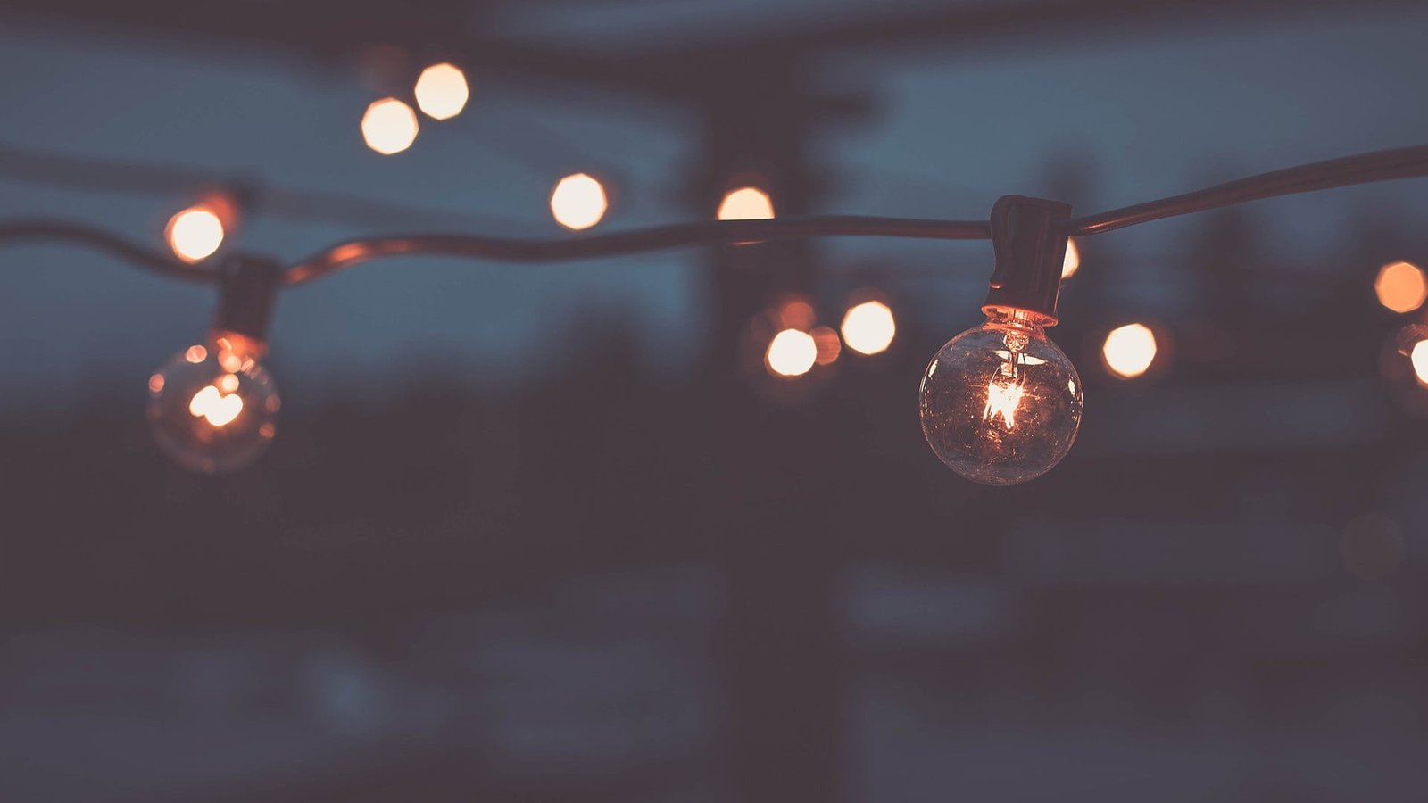 clear bulb string lights shallow focus photography of during night time