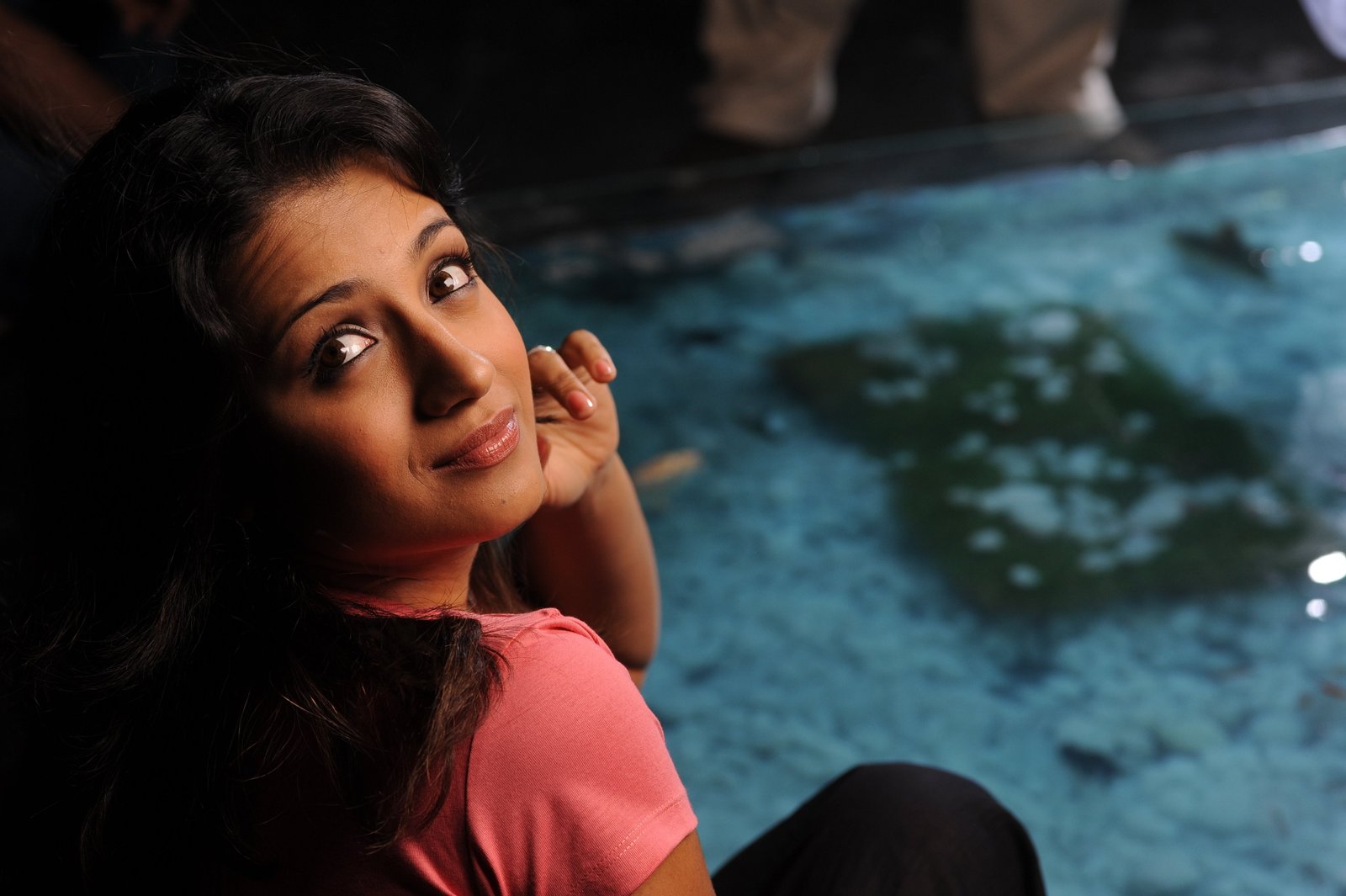 actress actresses hd india people tamil trisha 2k 4k