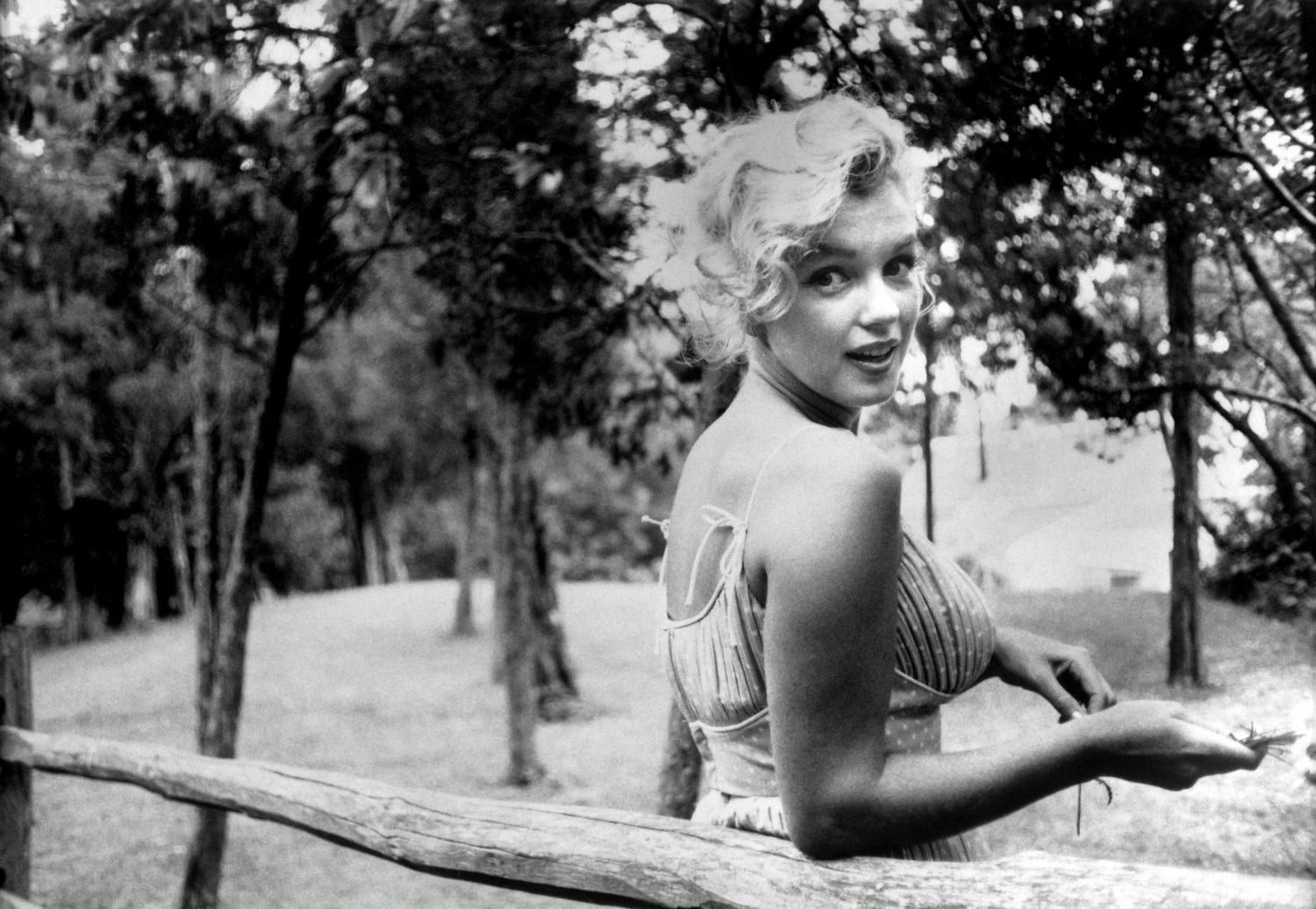 actress blonde marilyn monroe