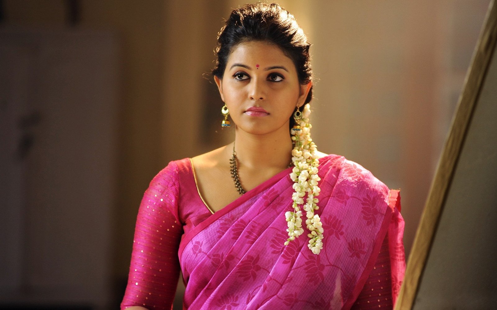 Actresses Anjali one person traditional clothing portrait