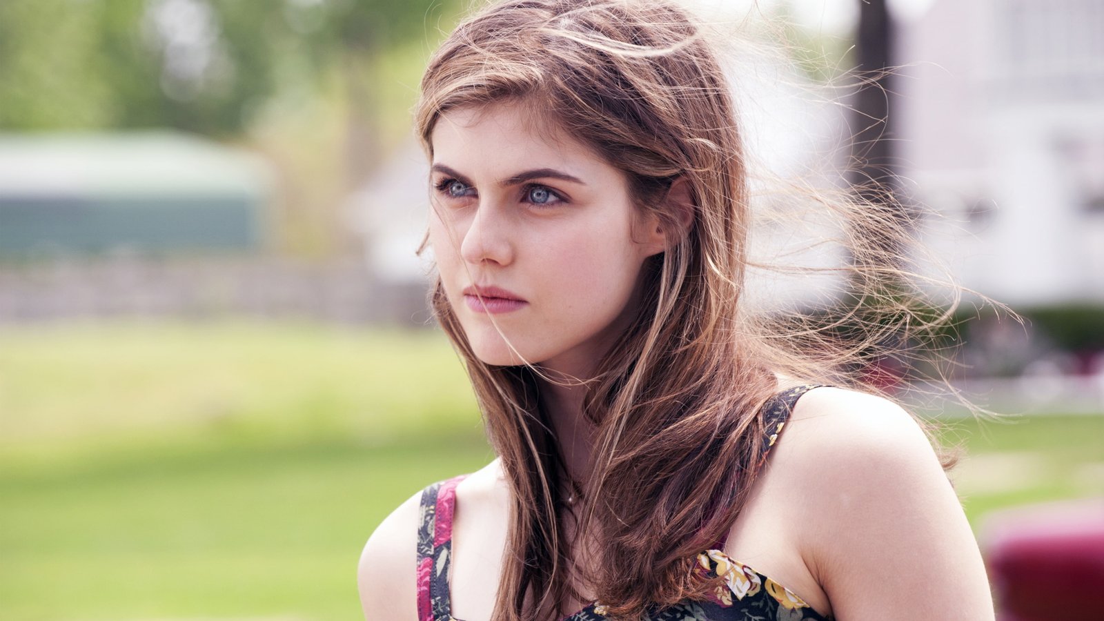 Alexandra Daddario Actress Woman Portrait Hair 2k