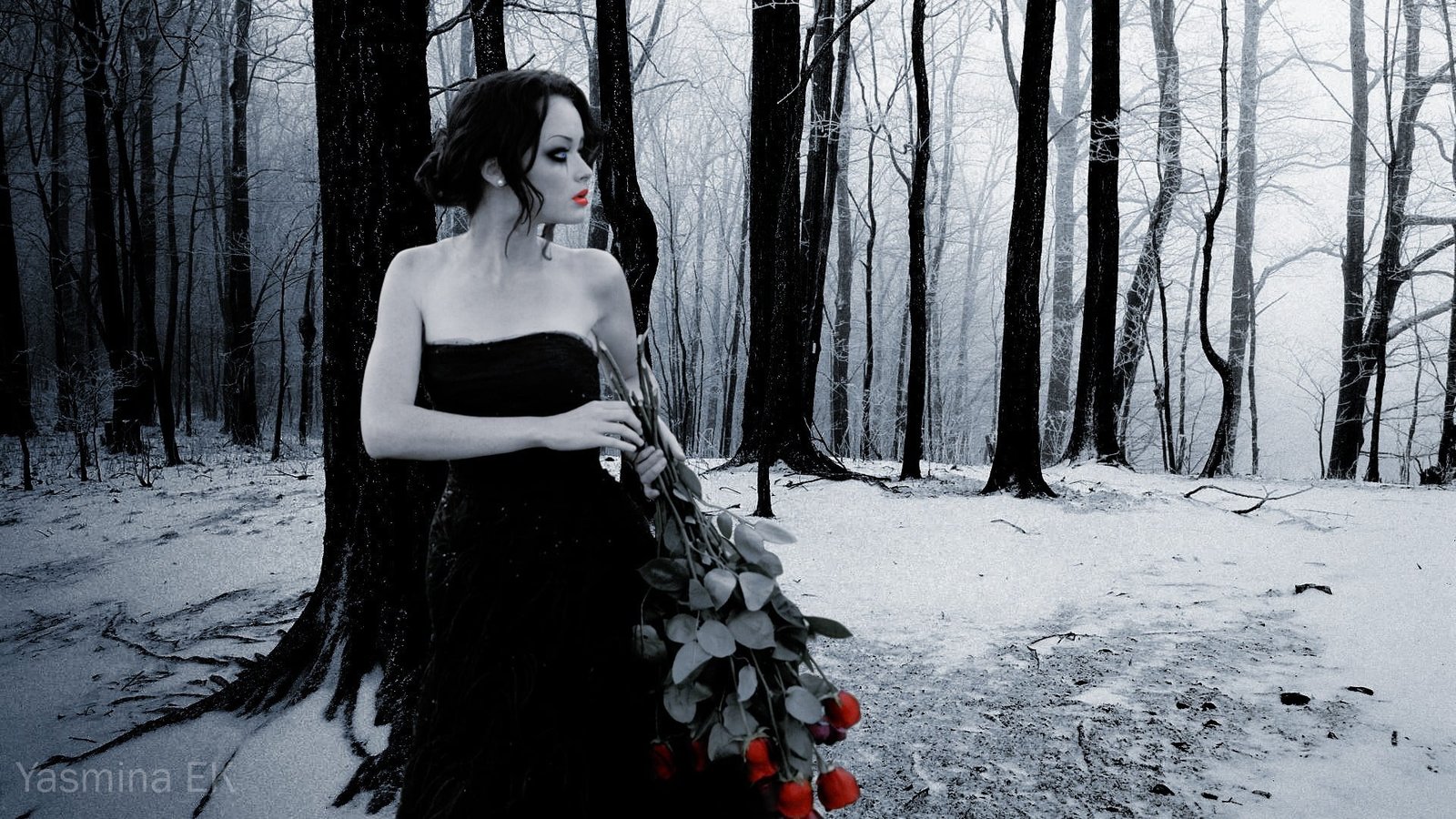 woman wearing black tube dress while holding red rose actress