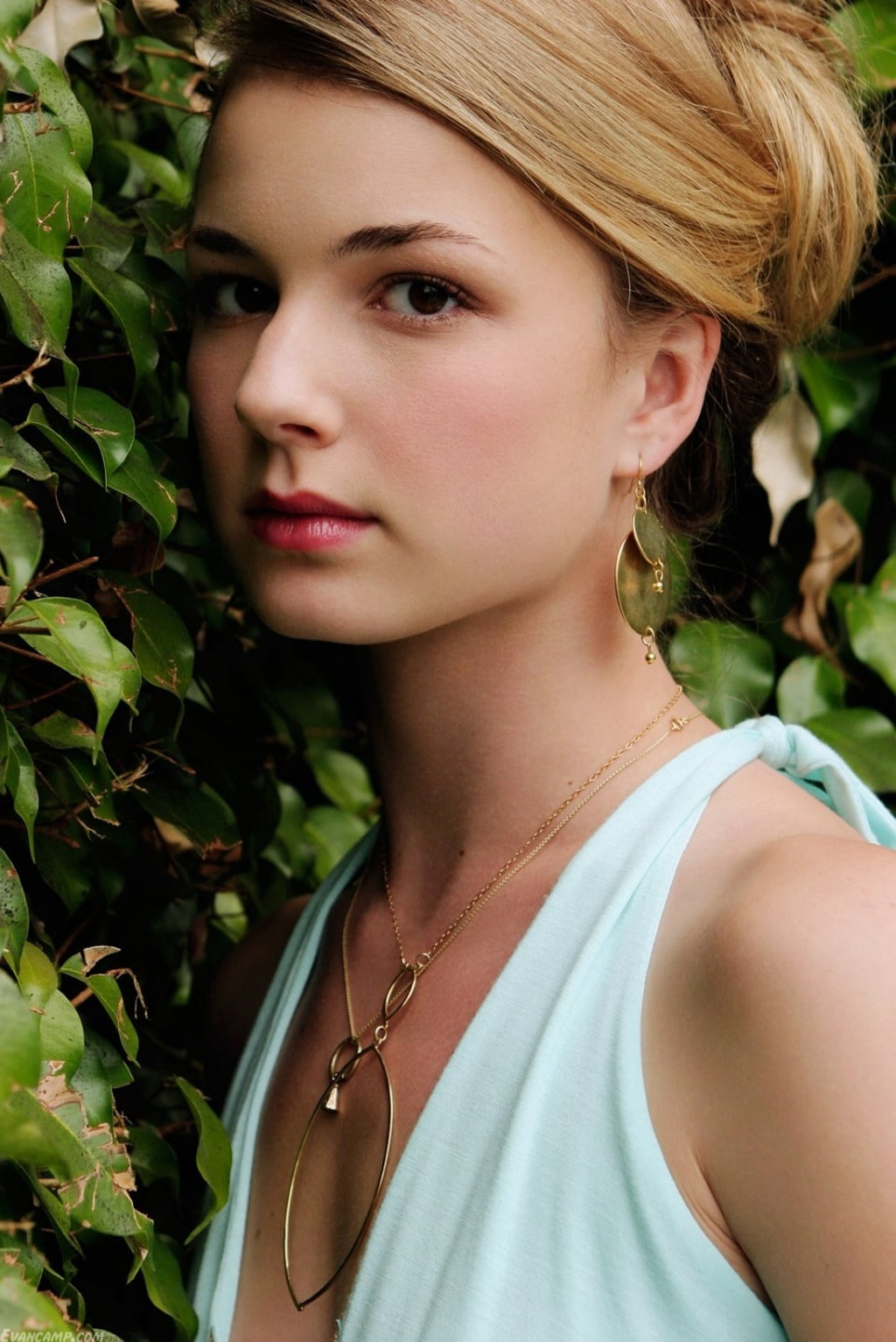 Emily Vancamp women actress outdoors nature plants