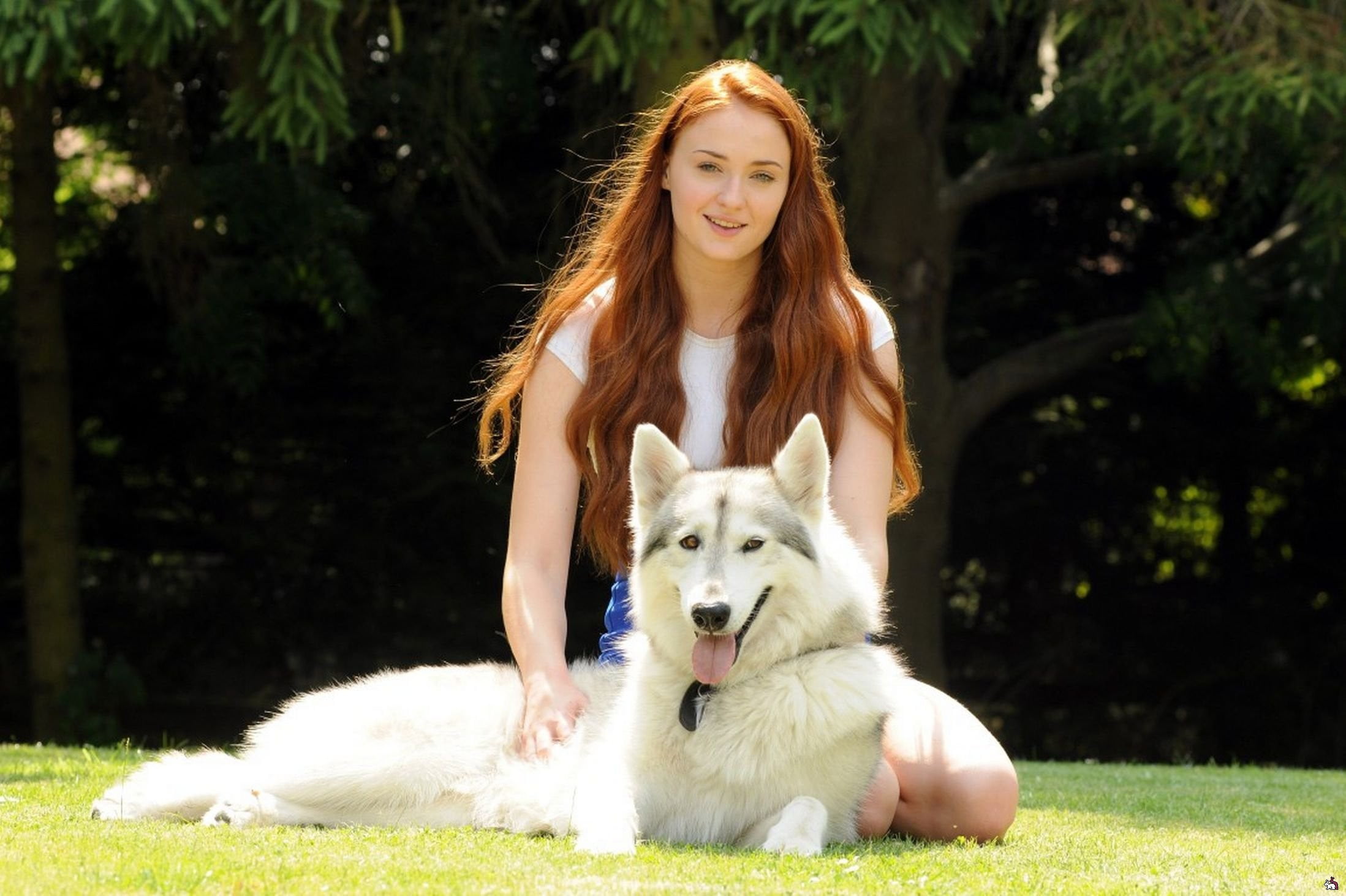 Sophie Turner and adult Alaskan malamute Game of Thrones actress 2k
