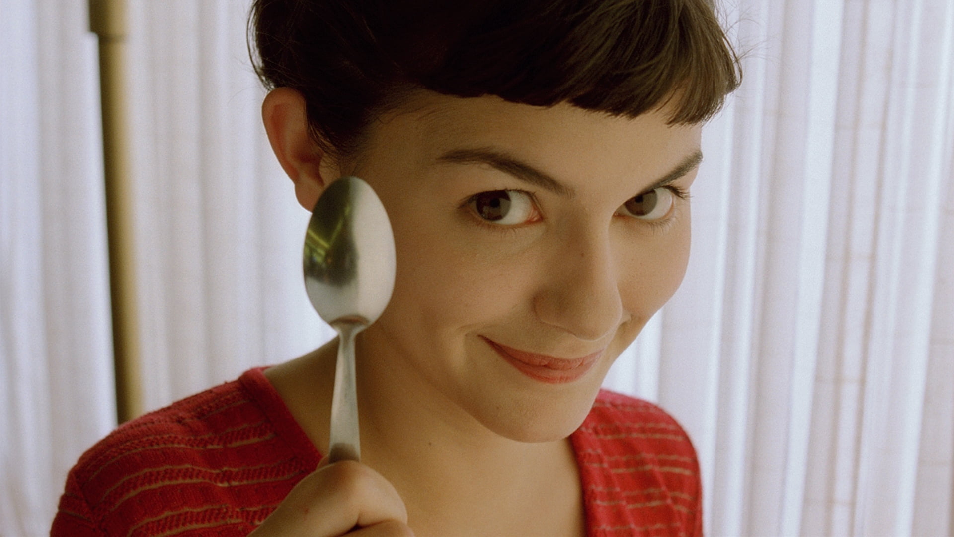 stainless steel spoon amelie audrey tautou actress poulain