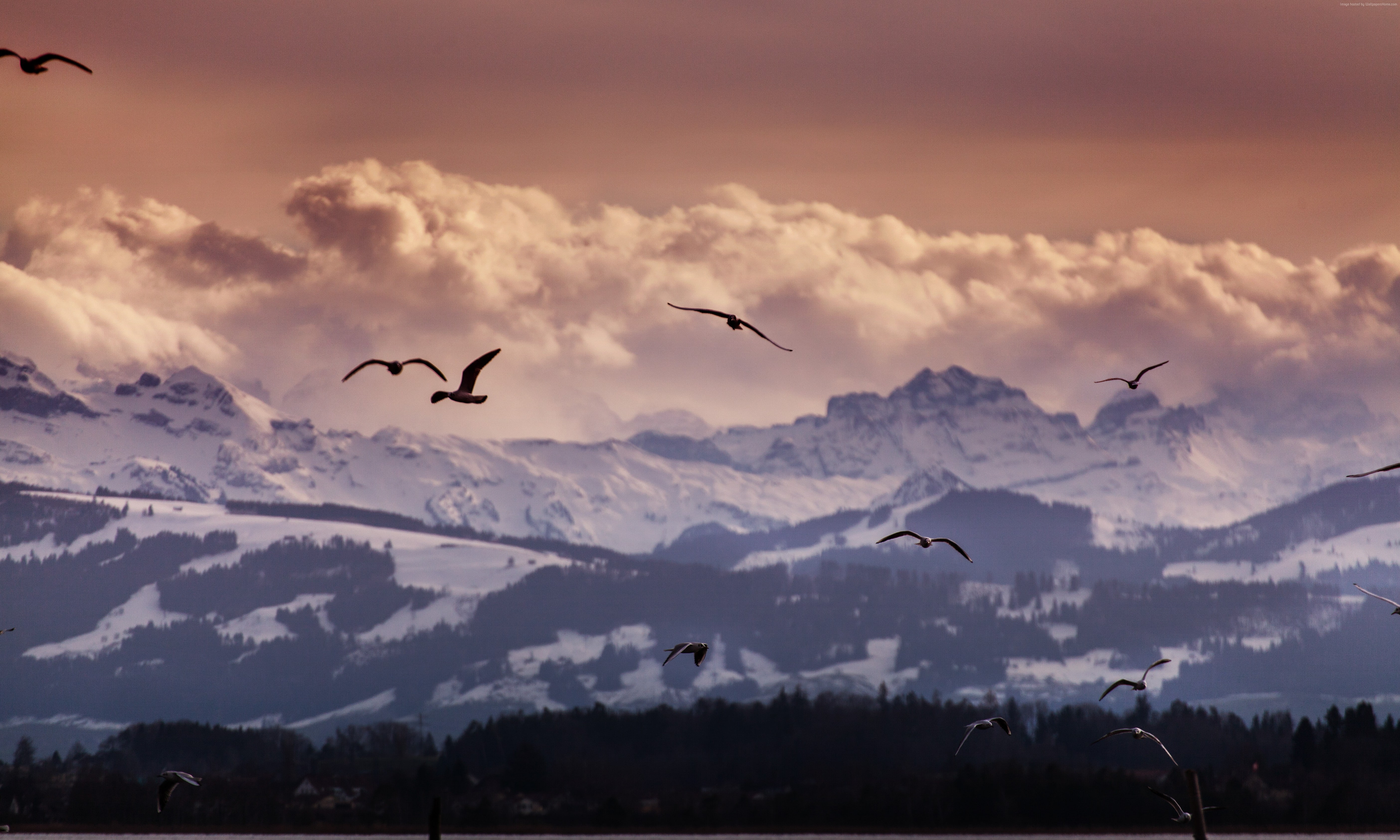 clouds Switzerland mountains seagulls Alps 2k 4k 5k